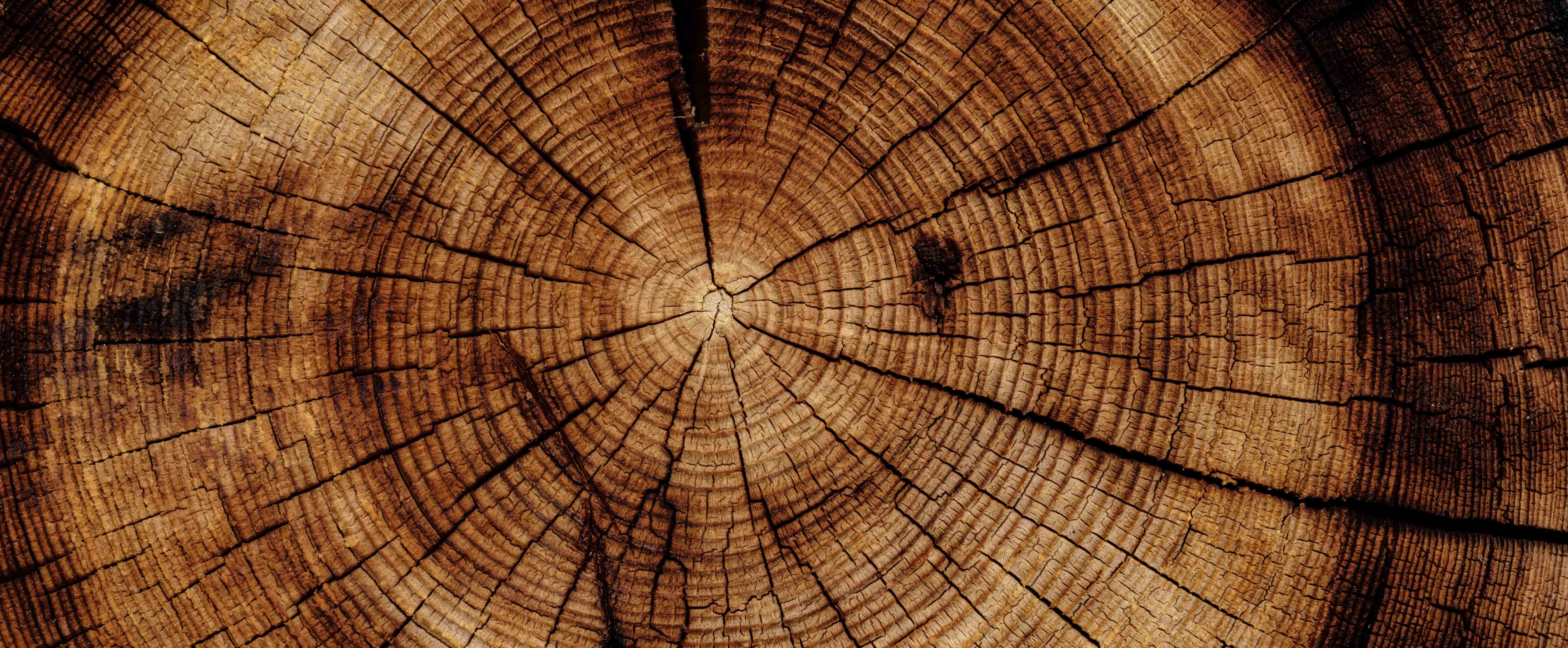 Fattore Legno - Partner e collaborazioni